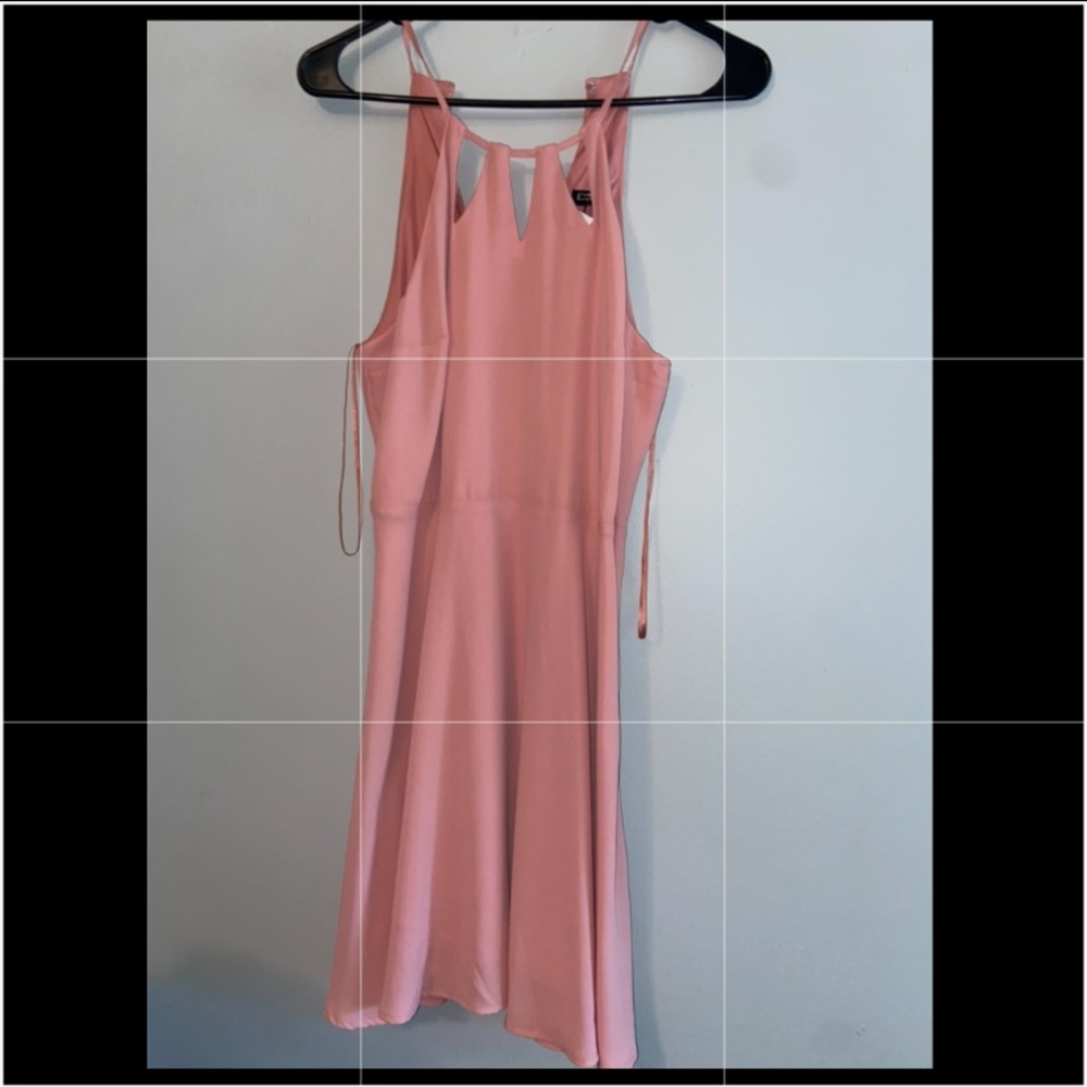 Pink Express dress.